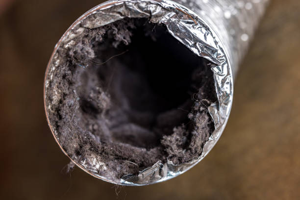 Best Affordable Duct Cleaning Services  in Lake Oswego, OR